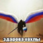гойда мастер228