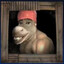 donk(ey)