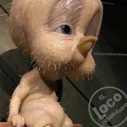 El Pajarito Educado avatar