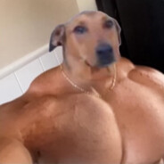 amz1