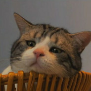 “落日余晖，待你而归"