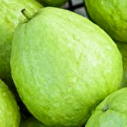 耶地上那是你的節操嗎