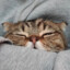Time2Sleep`