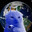 Bogos Binted Blueberry The Third