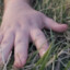 Grass Toucher
