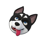 我承认我有赌的成分