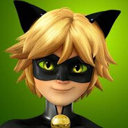 Cat Noir