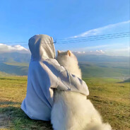 打不过了就骂我