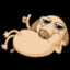 BEBRO4kA