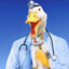 DocDocGoose