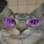 traxat- SH2RAP (.nerd\)