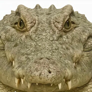 第一突破手吕子乔