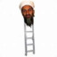 OSAMA BIN LADDER