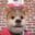 BOMBOCLAT DOG