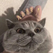 青衫白衣小黑炭