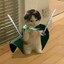 Fezzy Werbenjagermanjensen avatar