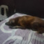 SilentImbaMJM&lt;3KT.747Live