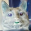 Неґативний Кiт