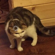 HELLCATO