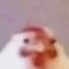 Buvlo