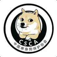 笔记本加Wifi@1231