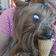 KobyPAPA - steam id 76561198866453147