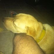 D R [E] T [E] X CSGOSKINS