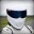 The Stig