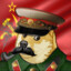 Сталин Doge