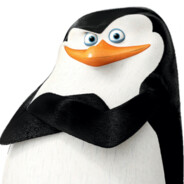 Skipper