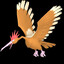 Fearow