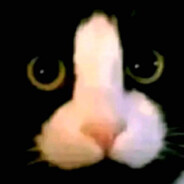 お前何してるの?