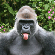 Ɑ͞ ̶͞ ̶͞ ﻝﮞ 傷心