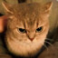 Ric3baLLs-