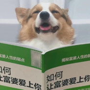 好好先生法力无边