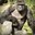 Harambae