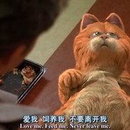 我想要一只兔子