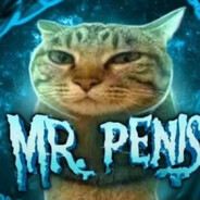 Mr. Penis