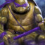 Donatello NaX