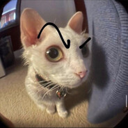 VeryWeirdPanda