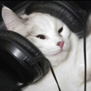 我怀念的是无话不说