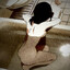 Mestro_Kir_Met
