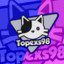 Topexs98