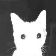 サシー 𝙎𝙖𝙨𝙮