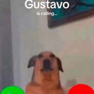 Gustavo