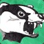 AngryBadger