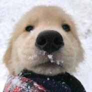 她说戴了不算给