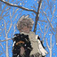 Avatar of pooki