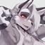 Raccoon