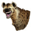 Hyena